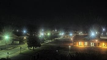 Weather camera view of Erwin Town Hall.