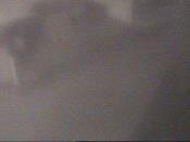 Weather camera view of School Board Safety Dept..