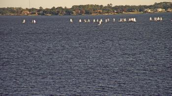 Weather camera view of Florida Yacht Club.