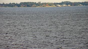 Weather camera view of Florida Yacht Club.