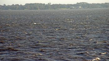 Weather camera view of Florida Yacht Club.