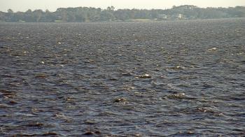 Weather camera view of Florida Yacht Club.