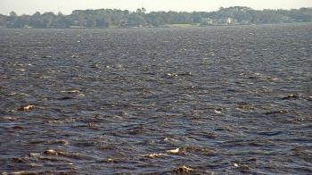 Weather camera view of Florida Yacht Club.