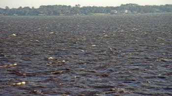 Weather camera view of Florida Yacht Club.