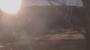 Weather camera view of Frenchglen ES.