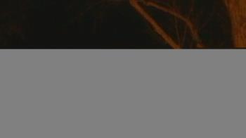 Weather camera view of Frenchglen ES.