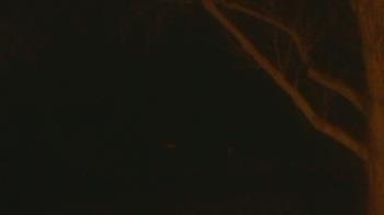 Weather camera view of Frenchglen ES.