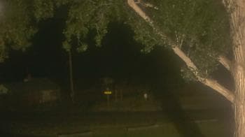 Weather camera view of Frenchglen ES.