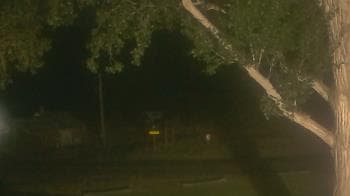 Weather camera view of Frenchglen ES.