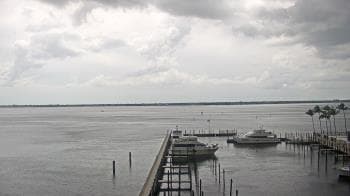 Weather camera view of Pinchers Marina at Edison Ford.