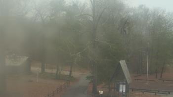 Weather camera view of Camp Marymount.