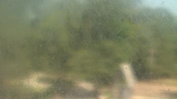 Weather camera view of Camp Marymount.