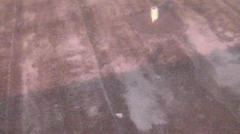 Weather camera view of Fox Trail ES.