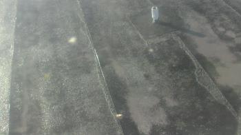 Weather camera view of Fox Trail ES.