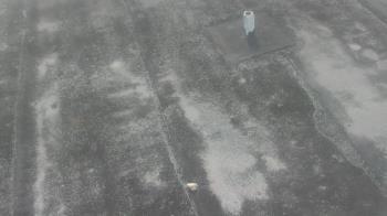 Weather camera view of Fox Trail ES.