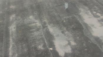 Weather camera view of Fox Trail ES.