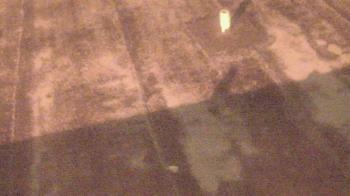 Weather camera view of Fox Trail ES.