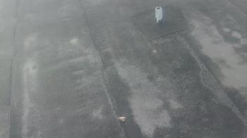 Weather camera view of Fox Trail ES.