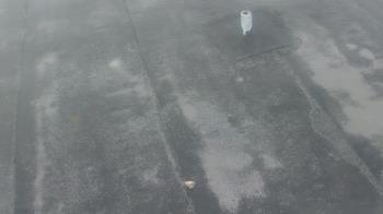 Weather camera view of Fox Trail ES.