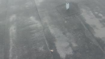 Weather camera view of Fox Trail ES.