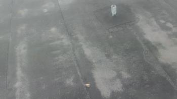 Weather camera view of Fox Trail ES.