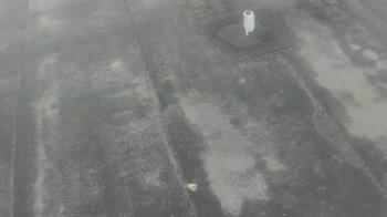 Weather camera view of Fox Trail ES.