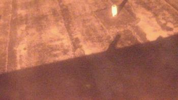 Weather camera view of Fox Trail ES.