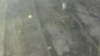 Weather camera view of Fox Trail ES.