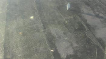 Weather camera view of Fox Trail ES.