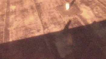 Weather camera view of Fox Trail ES.