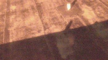 Weather camera view of Fox Trail ES.