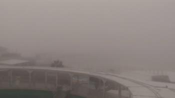 Weather camera view of The Gulfarium.