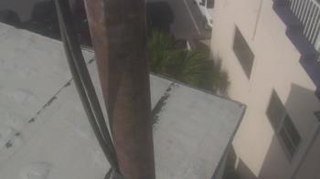 Weather camera view of The Gulfarium.