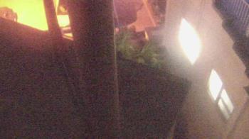 Weather camera view of The Gulfarium.