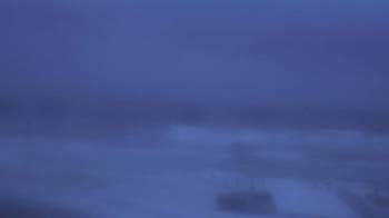 Weather camera view of The Gulfarium.