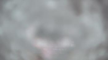 Weather camera view of Gillette Stadium.