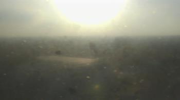 Weather camera view of Downtown West.