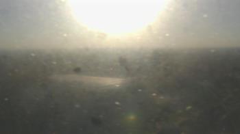 Weather camera view of Downtown West.