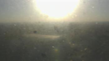 Weather camera view of Downtown West.