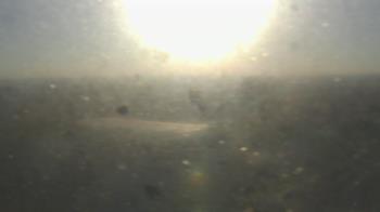 Weather camera view of Downtown West.