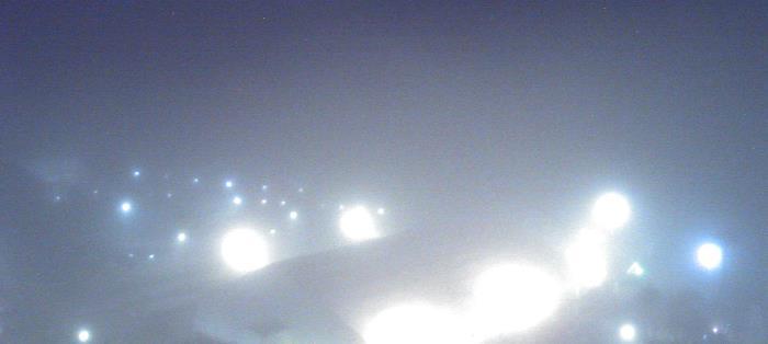 Weather camera view of Moody Gardens Inc..