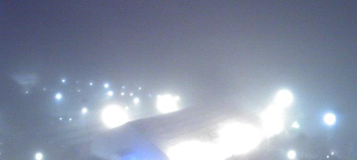 Weather camera view of Moody Gardens Inc..