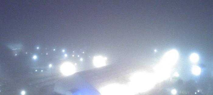 Weather camera view of Moody Gardens Inc..