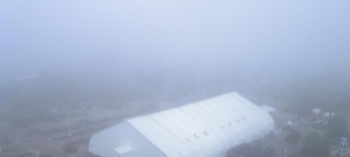 Weather camera view of Moody Gardens Inc..