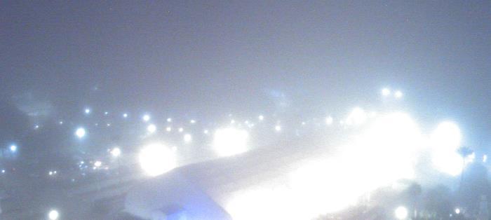 Weather camera view of Moody Gardens Inc..