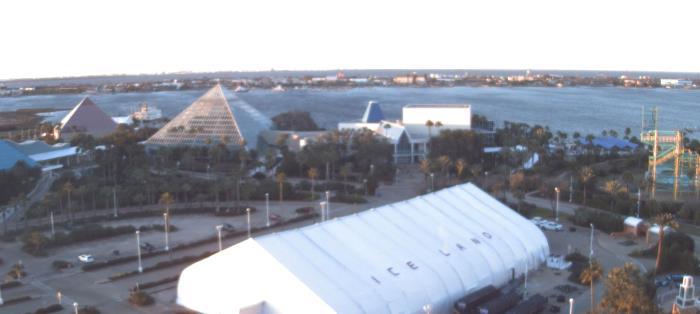 Weather camera view of Moody Gardens Inc..