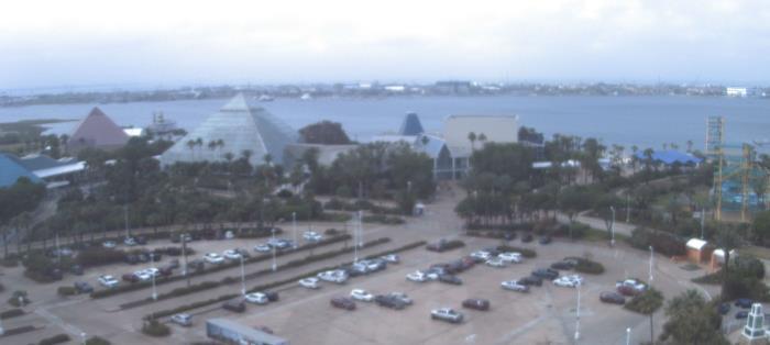 Weather camera view of Moody Gardens Inc..
