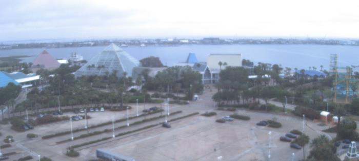 Weather camera view of Moody Gardens Inc..