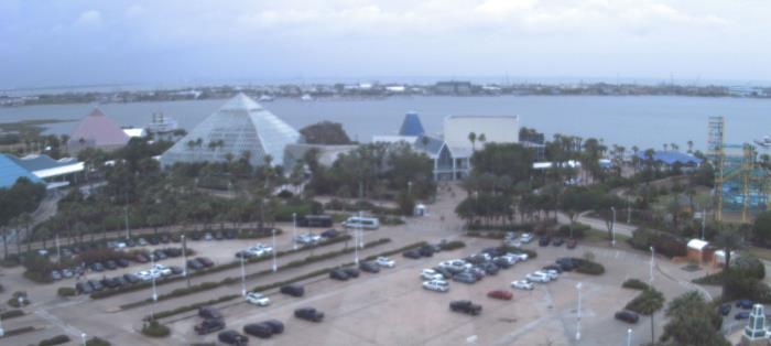 Weather camera view of Moody Gardens Inc..