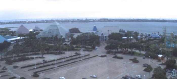 Weather camera view of Moody Gardens Inc..